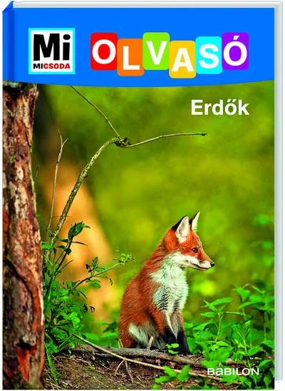Biztonságos vásárlás Erdő - Mi MICSODA Olvasó