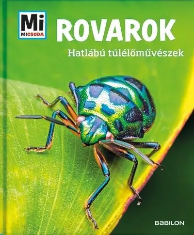 Különleges ajánlat Rovarok - Hatlábú túlélőművészek /Mi MICSODA