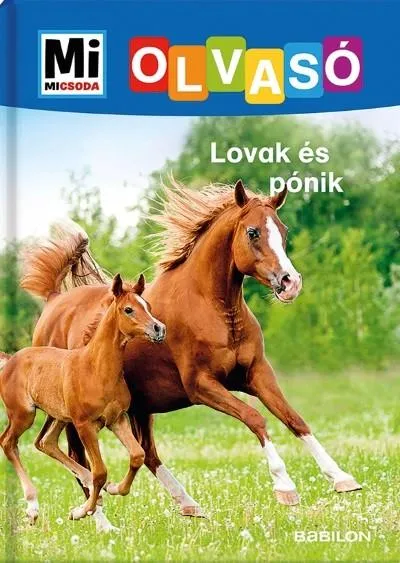 Lovak és pónik - Mi MICSODA Olvasó Népszerű