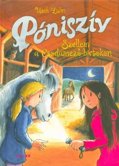 Szellem a Csodamező-birtokon - Póniszív 6. Exkluzív ajánlat
