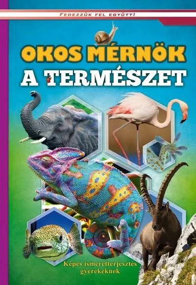 Okos mérnök a természet - Képes ismeretterjesztés gyerekeknek /Fedezzük fel együtt! Olcsó