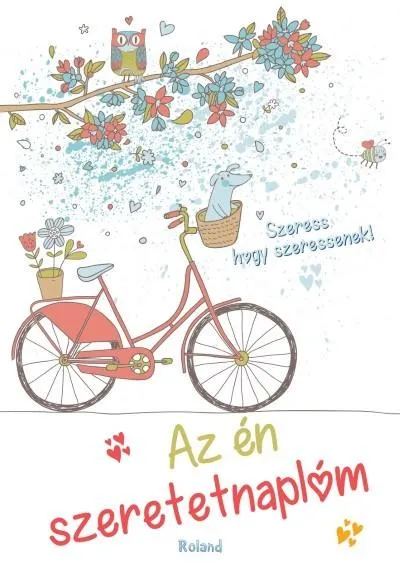 Akció Az én szeretetnaplóm (biciklis borító)