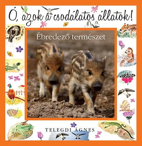 Ó, azok a csodálatos állatok! - Ébredező természet Árengedmény