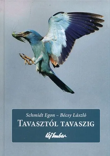 Szezonális akció Tavasztól tavaszig