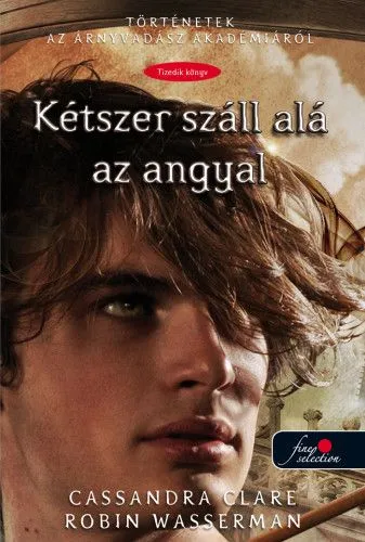 Kétszer száll alá az angyal - Történetek az Árnyvadász Akadémiáról 10. Kedvezmény