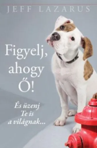 Csak ma Figyelj, ahogy Ő! - És üzenj Te is a világnak...
