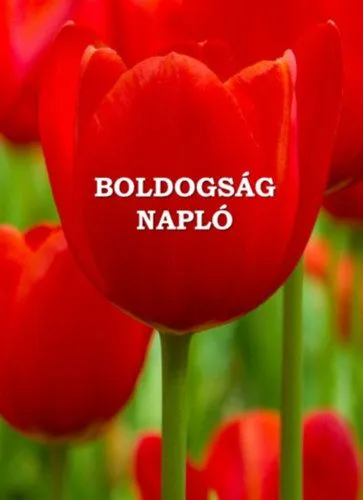 Boldogságnapló - puha kötés Kihagyhatatlan ajánlat