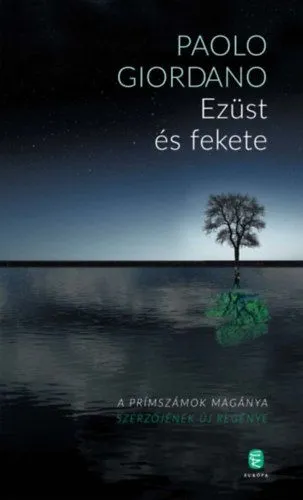 Ezüst és fekete Biztonságos fizetés