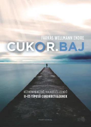 Outlet Cukor.baj - Kézikönyv kezdő, haladó és leendő II-es típusú cukorbetegeknek
