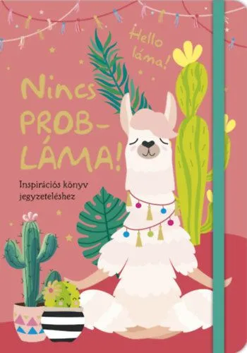 Különleges ajánlat Nincs probláma! - Inspirációs könyv jegyzeteléshez