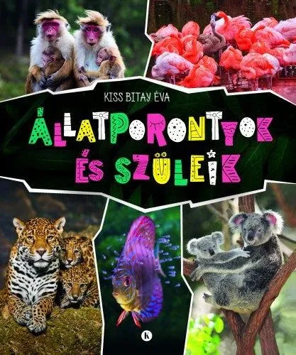 Állatporontyok és szüleik Vedd meg most