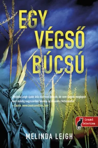 Vedd meg most Egy végső búcsú - Morgan Dane 2.
