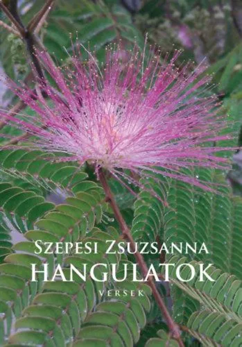 Expressz szállítás Hangulatok