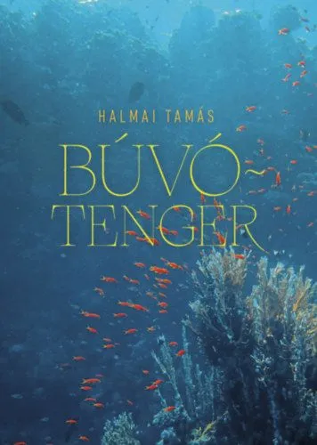 Búvótenger - Esszék, kritikák, olvasatok Prémium