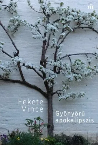 Gyönyörű apokalipszis Outlet