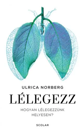 Biztonságos fizetés Lélegezz - Hogyan lélegezzünk helyesen?