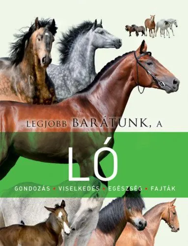 Legjobb barátunk, a ló Legjobb ár