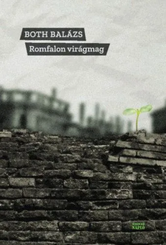 Romfalon virágmag Azonnali szállítás