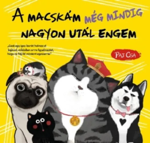 Csak ma A macskám még mindig nagyon utál engem - Macska és Kutya 3.