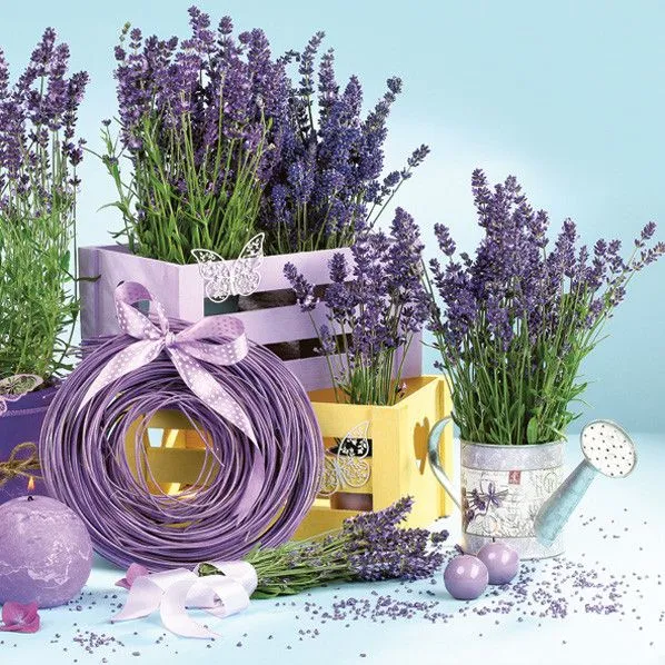 Expressz szállítás Levendula Indoors szalvéta 20 db-os 33x33 cm