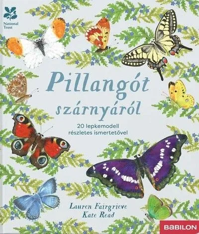 Kedvezményes ár Pillangót szárnyáról - 20 lepkemodell részletes ismertetővel