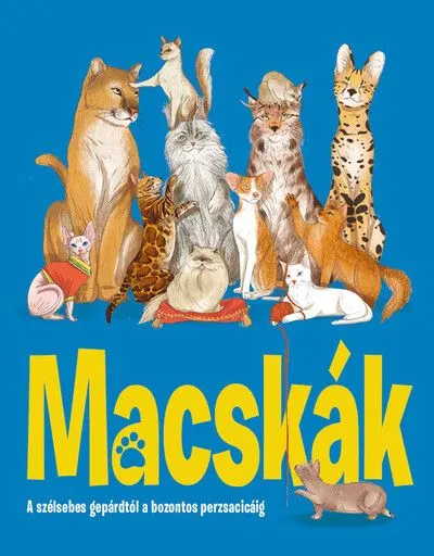 Macskák - A szélsebes gepárdtól a bozontos perzsacicáig Azonnali szállítás