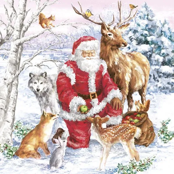Karácsony Santa & Animals szalvéta 20 db-os 33x33 cm Ne maradj le