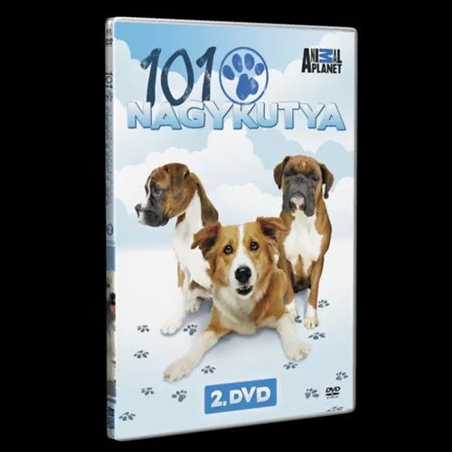 101 Nagykutya - 2. DVD Népszerű