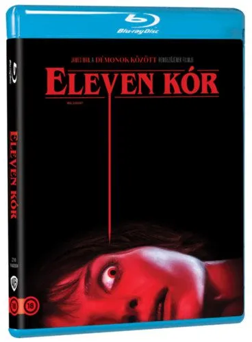 Eleven kór - Blu-ray - BLU-RAY Vedd meg online