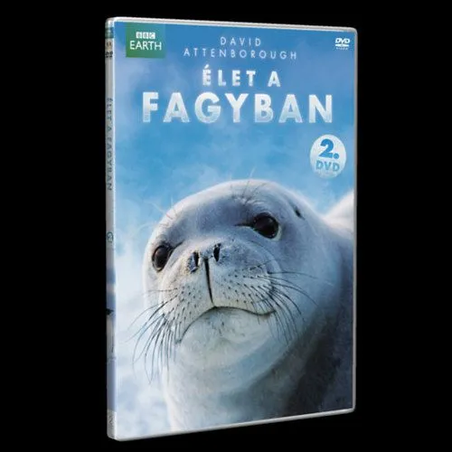 Korlátozott ajánlat Élet a fagyban 2. - DVD